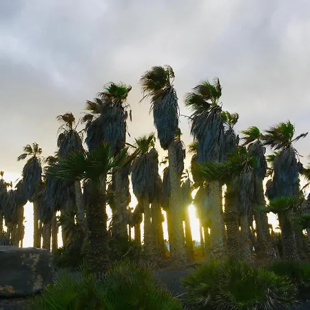 Drago Lanzarote Holiday home *