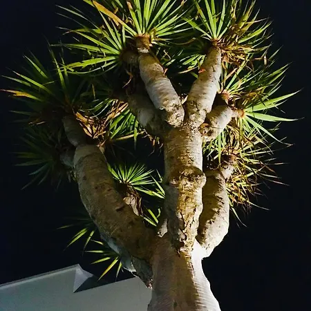 Holiday home Drago Lanzarote